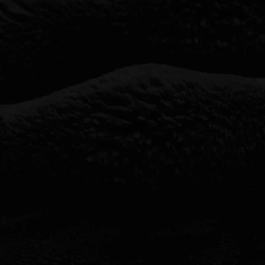 Luxe Cuddle Powderpuff Black 58" - 60" Fabric per yard - Image 2