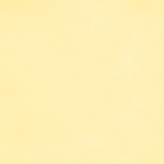 Luxe Cuddle Bunny Butter 58"/60" Fabric per yard - Image 3