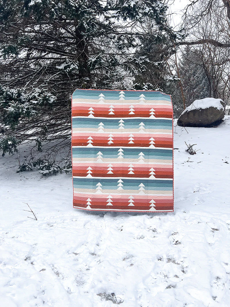 Cozy Quilts for the Modern Home - Image 4
