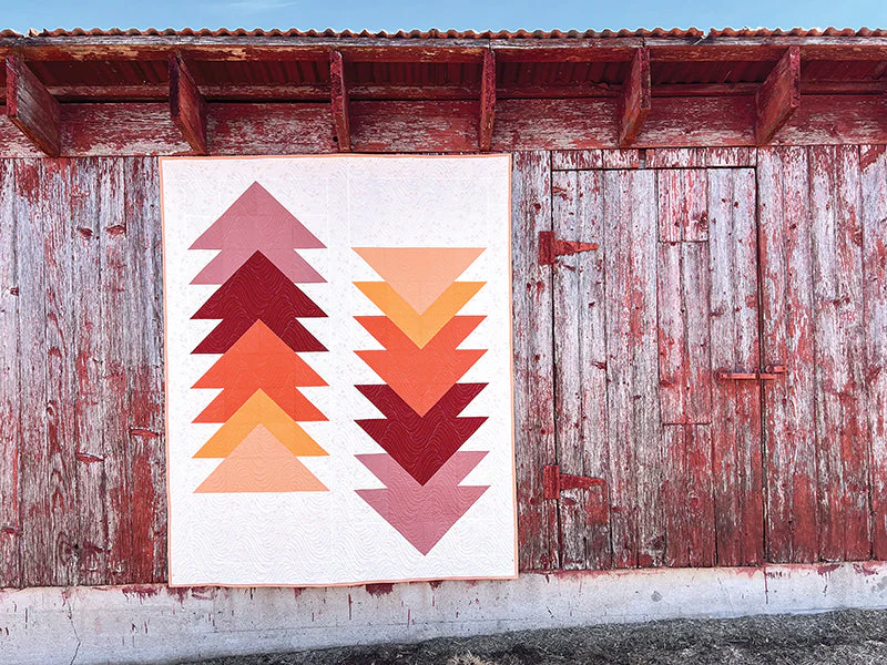 Cozy Quilts for the Modern Home - Image 9