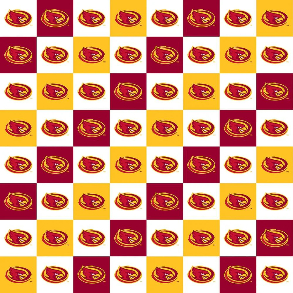 Iowa State Cyclones - Collegiate Check 44"/45" Fabric per yard