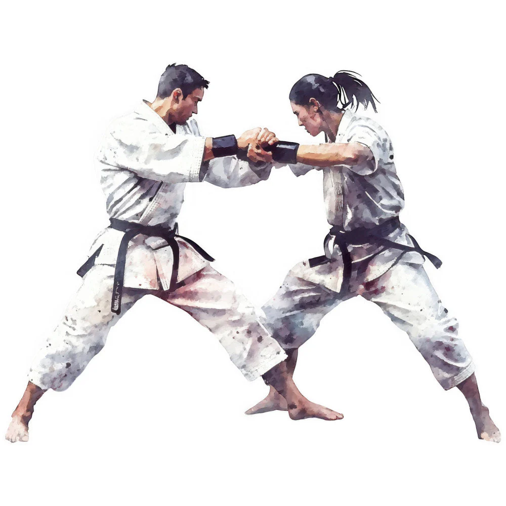 Karate Taekwondo Fabric Panel 14