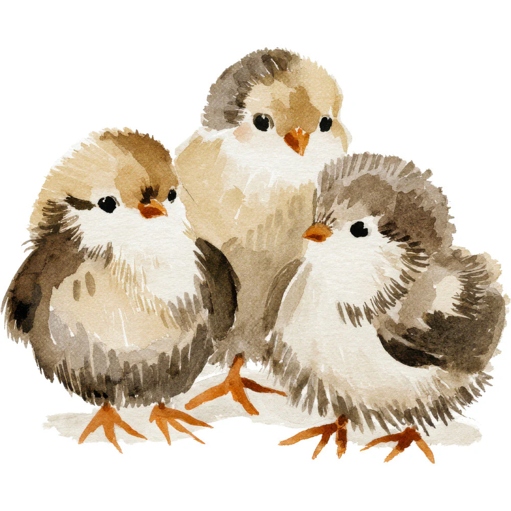 Rustic Barnyard Birds Fabric Panel 62