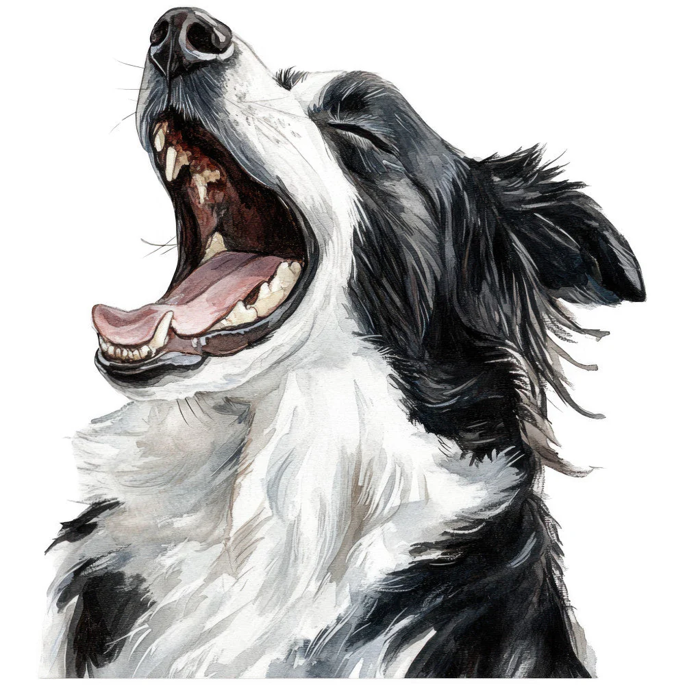 Watercolor Border Collie Fabric Panel 5